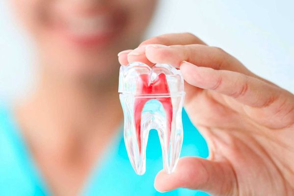 Difference Between Endodontist and Periodontist: Roles, Treatments & When to See Each 1 Difference Between Endodontist and Periodontist Roles Treatments When to See Each Difference Between Endodontist and Periodontist: Roles, Treatments & When to See Each